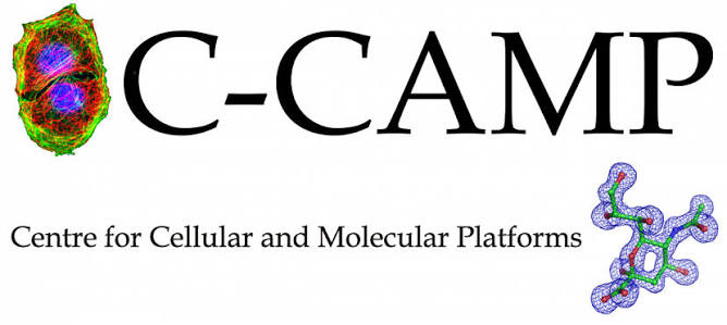 C-CAMP