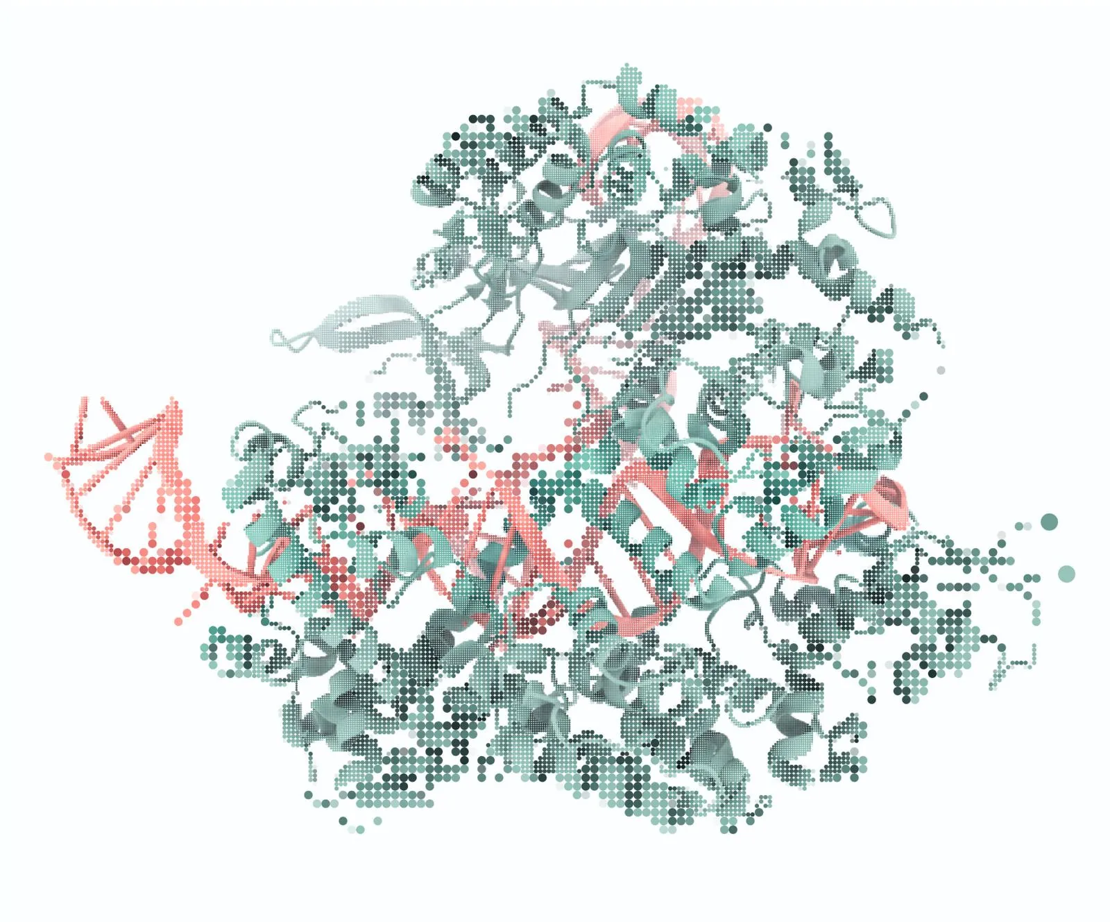 CRISPR License